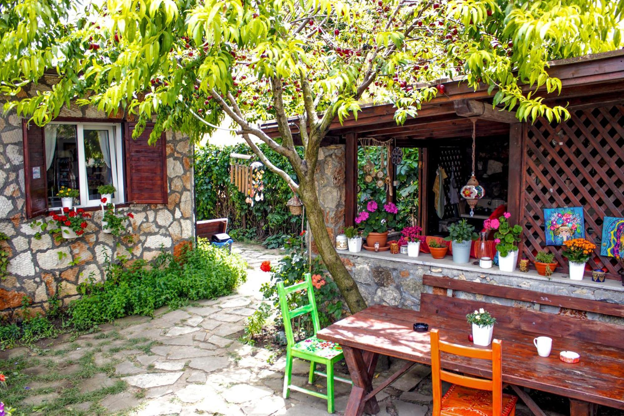 Bohemian Spirit, Vama Veche Lägenhet Exteriör bild
